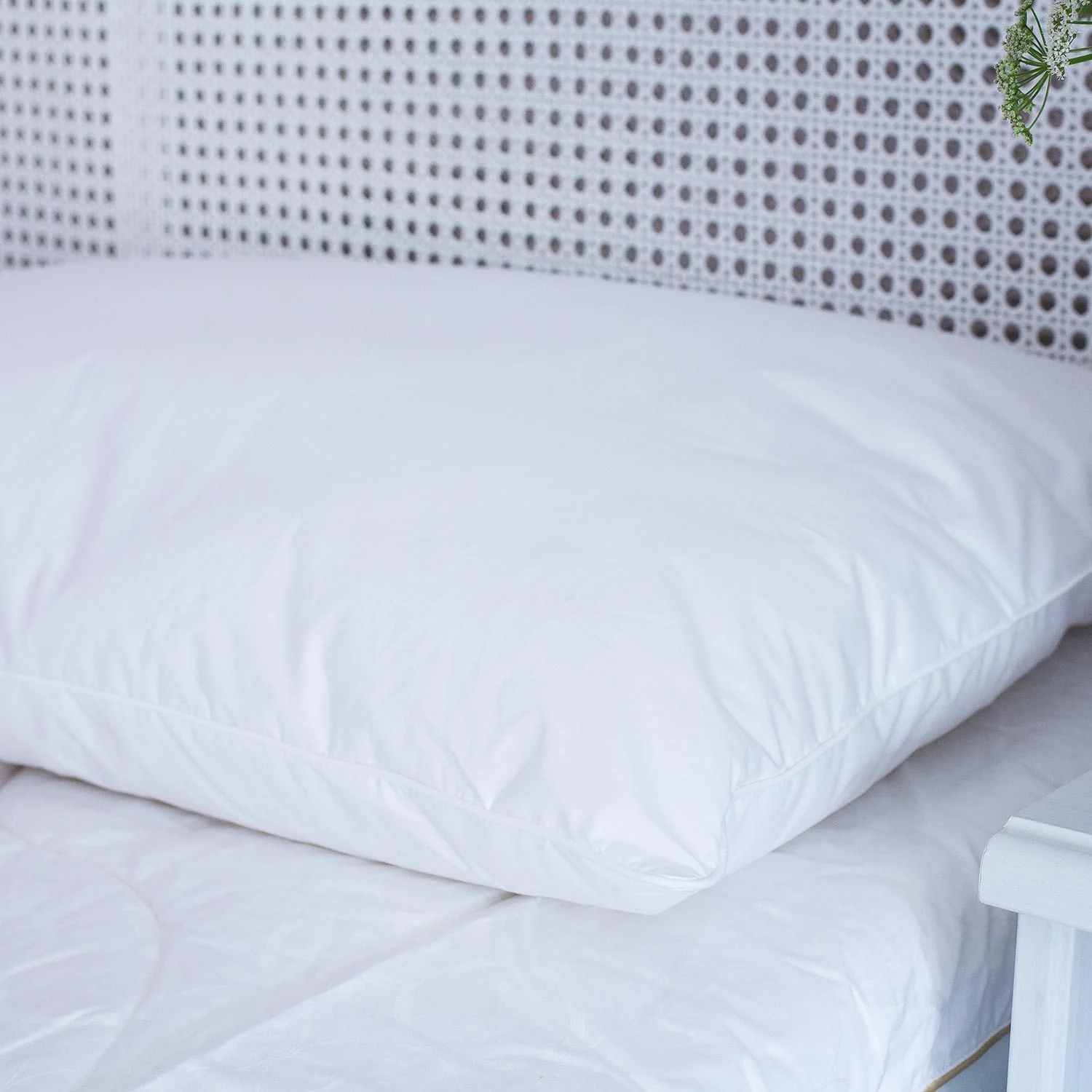 British 100% Wool Pillow - Low Fill - Image 3
